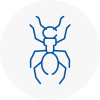 Ant Removals In Horwich