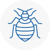 Bed Bug Extermination In Horwich