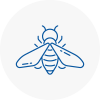 Bee Nest Removal Horwich