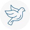 Bird Prevention Horwich