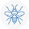 Horwich Hornet Nest Removals