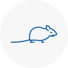 Mice Exterminators In Horwich