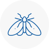 Moth Control Specialists In Horwich