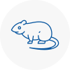 Rat Control Horwich
