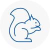 Horwich Rodent Removals